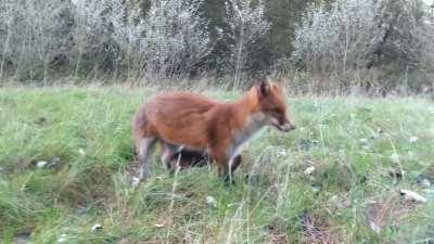 I clean, I stretch, I sit.