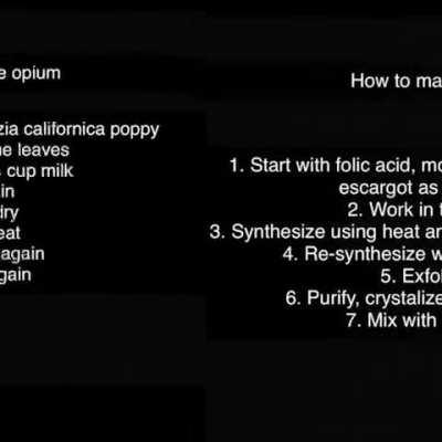 Capybara😏😏😎😎😎😎