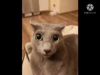 Day 99 of Woah. I am finally back.