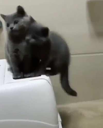 Let's do it togather