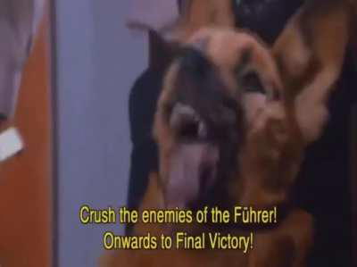 Im Gonna tell my Kids This is Nixonverse Antiverse: 