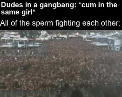 The ultimate showdown