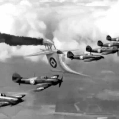 Gru, Dictator of Germany