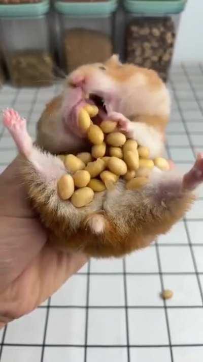 Да я чуток захомячил.