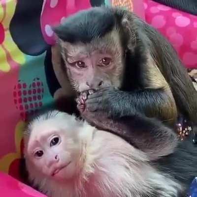 Sdds qnd mayuca era real, hoje não passa de apenas lembranças em nossos pensamentos😔