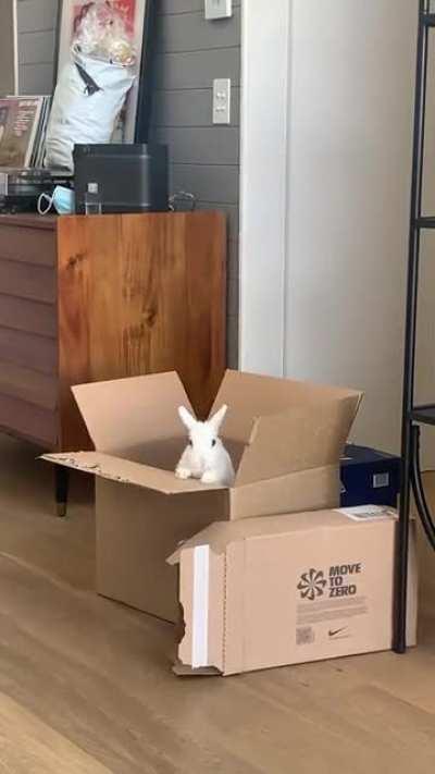 Did you say something?