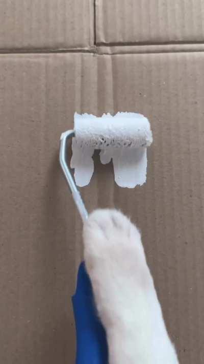 O drogon quando a kaz faz unboxing 