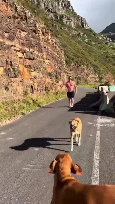 They go so fast. What chance is there to catch one?