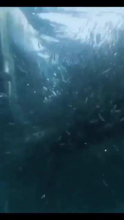 Held steady and got a great angle even in such a terrifying situation