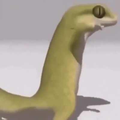 let’s give it up for one of the best parts of the LP10 waiting period, dancing lizard