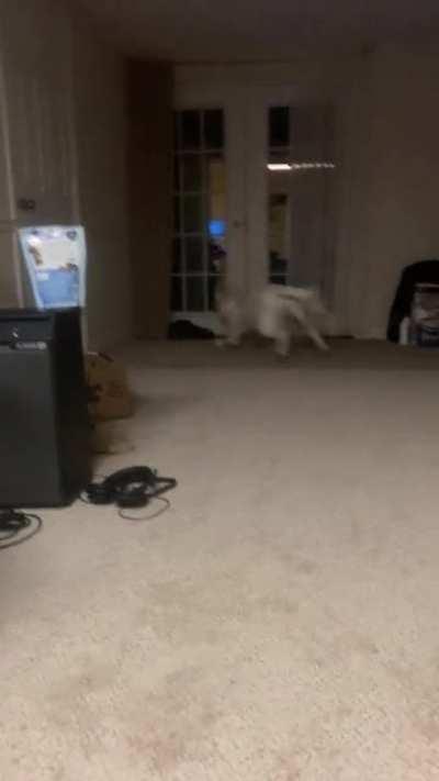 His basement routine