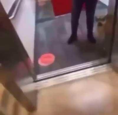 Average clamworkin doggo (not like cringe furry mod)