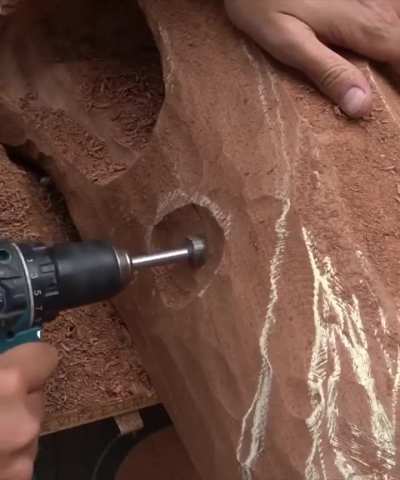 Impressively detailed dino carving