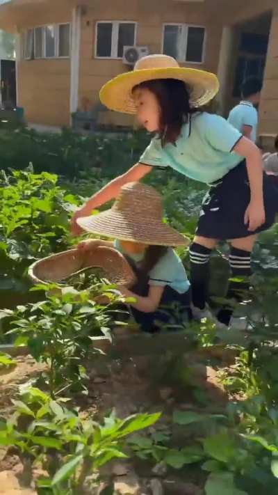 Chinese kids learning some useful skills and having fun. Excellent school programs!