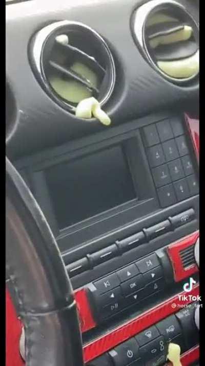 Is that bird shit?… oh wait