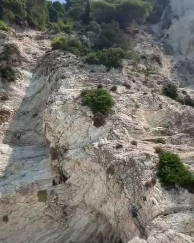 Imagine being stranded on an island with that!