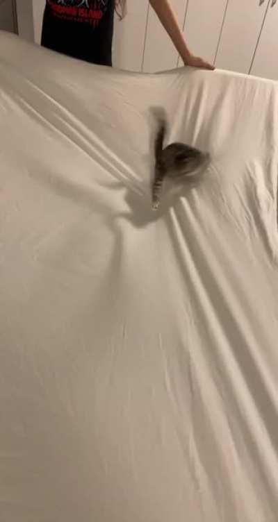 Greebles EVERYWHERE!