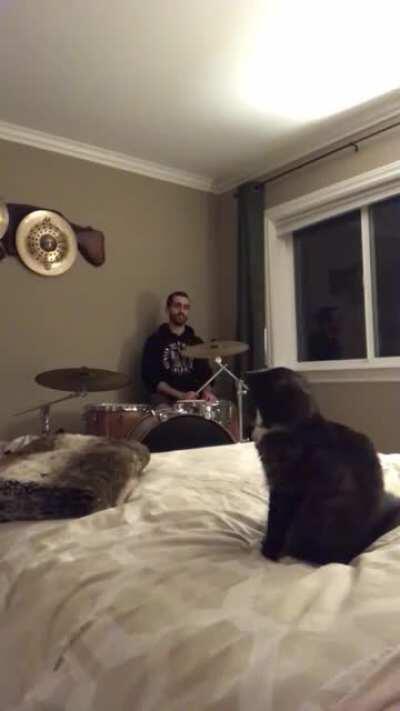 Ferd is a pretty harsh critic