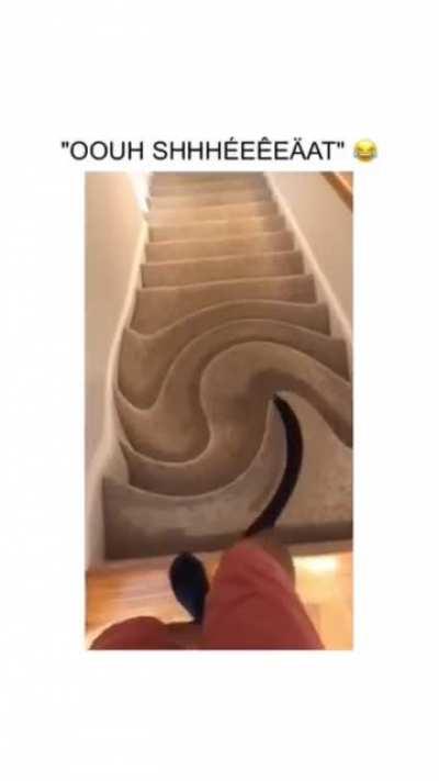 WCGW while walking down the stairs