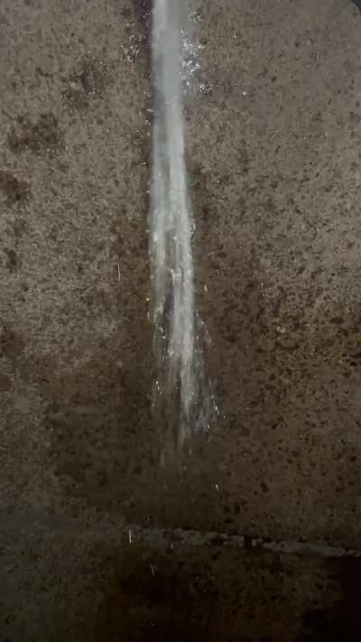 naughty sidewalk puddle