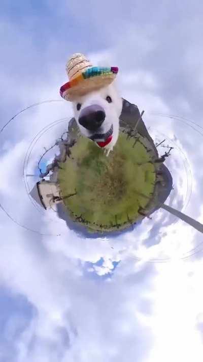 Me after I help my friend conquer her fear of death. 