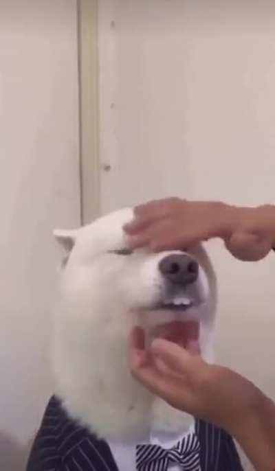 Me ahorre los brackets 