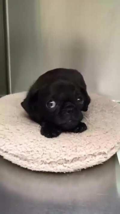 When You're Shy and Have a Crush on Someone