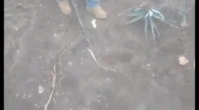 Not sure if buddy died or not, but this dudes a complete moron