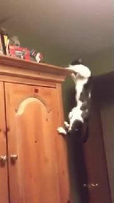 IT ALWAYS SEEMS IMPOSSIBLE…