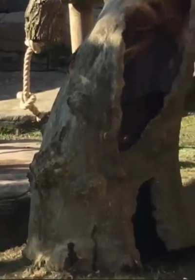 He ain’t got nothin on me