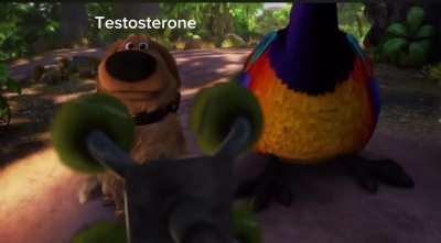 I didn’t ask for this