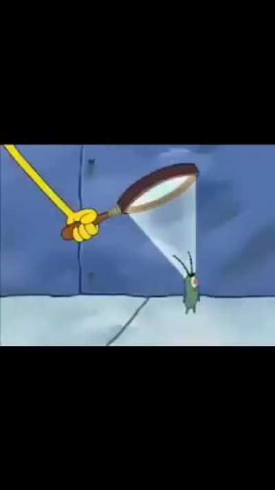 Why did spunkbop and practical do that