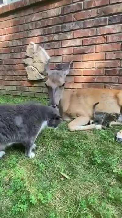 Unique group of friends