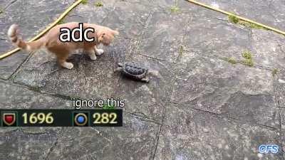 Rammus early VS Rammus late