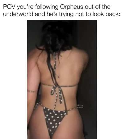 Then look back and disaster 😿