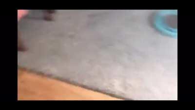 Do you smell it? That smell. A kind of smelly smell. The smelly smell that smells... smelly.