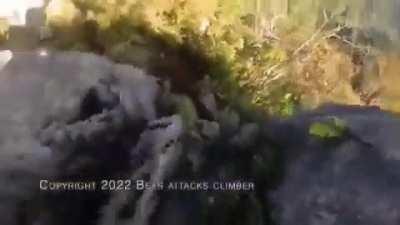 Bear attacks climber