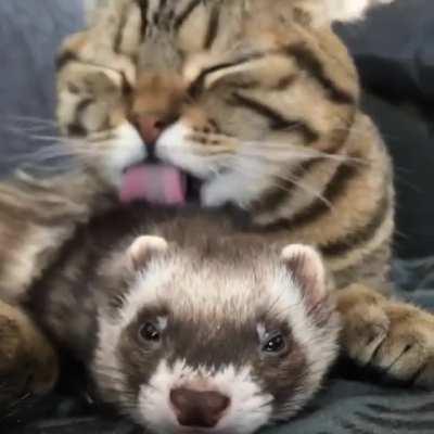 I guess I'm getting a bath now.