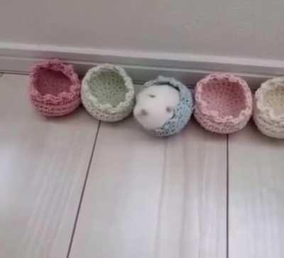 He want it, he got it