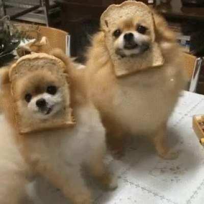 u/Criand, the best thing since...