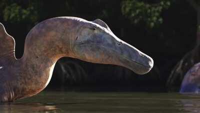 Sleepy Spinosaurus I made