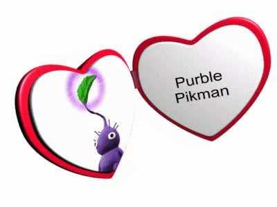 I like the purple one