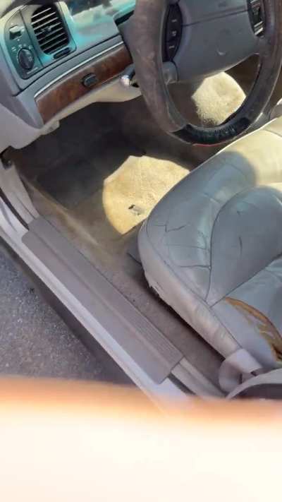 Seller wanted 2k I negotiated down 1850, is it worth it?