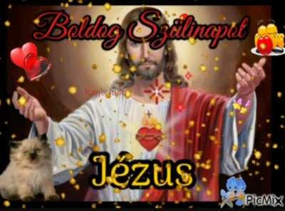 Boldog karit mindekinek