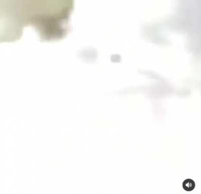 Saci stop please 😭