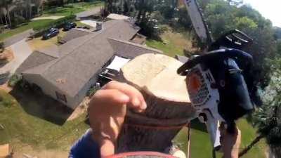 Maybe runaway from danger next time - broken leg