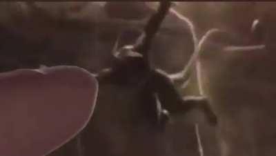 Everyone's reaction to the 