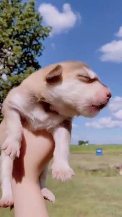 Немного милоты