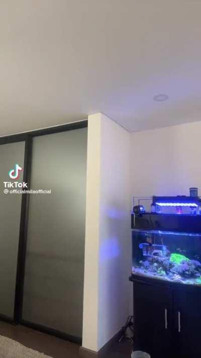 OfficialmilaOfficial