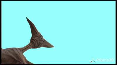 a random pterodactyl animation i made